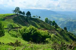 Colombia Winter Editie 2026  (jan/feb)
