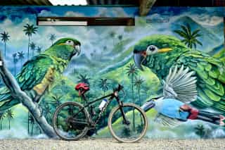 Een fiets van een Veloglobe deelnemer aan het leunen tegen een muur met kleurijke muurschildering van twee papegaaien.